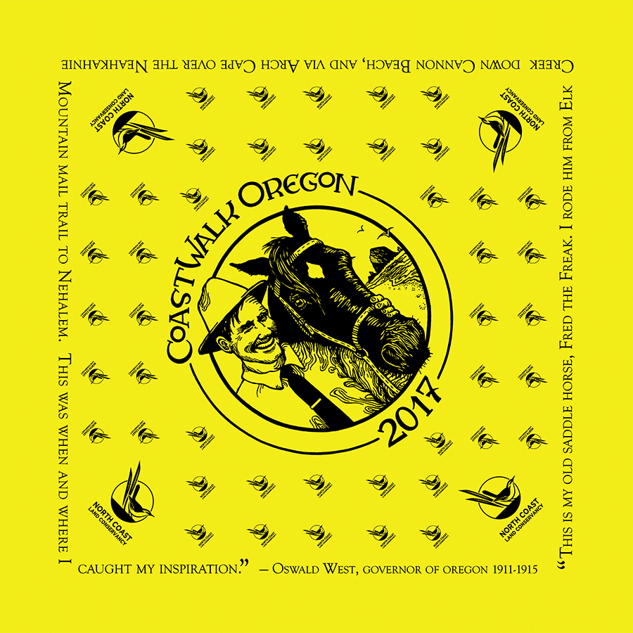 screen printed bandanna