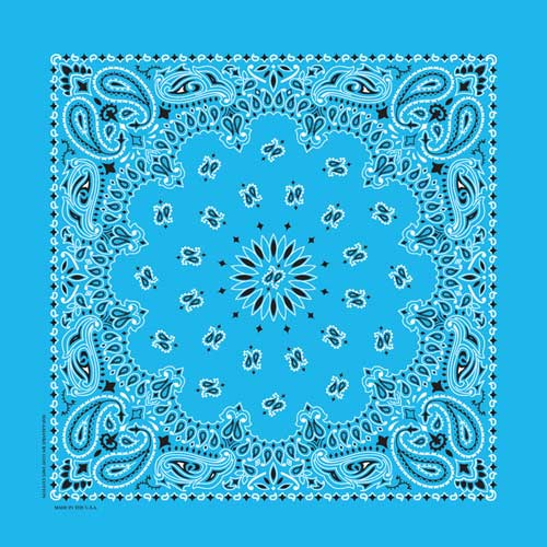 paisley bandanna