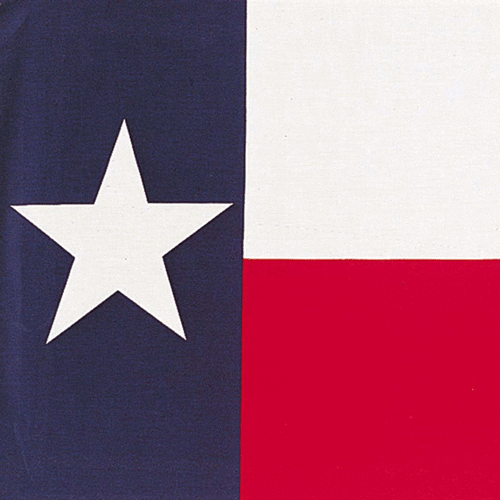 PATTERNED AFTER STATE FLAG OF TEXAS