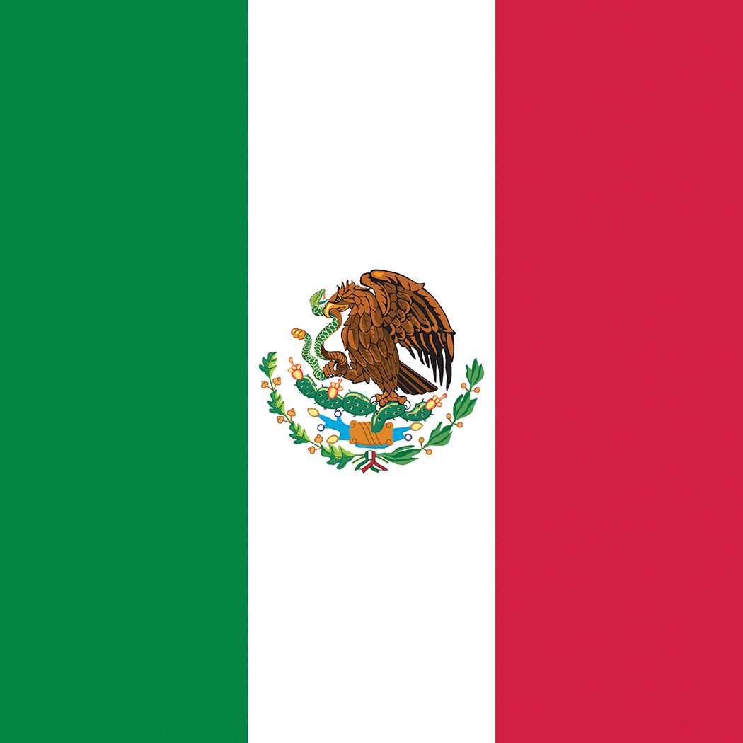 PATTERNED AFTER NATIONAL FLAG OF MEXICO