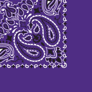 A CAROLINA Have Hank Paisley Bandannas Purple 22-Inch by 22-Inch 