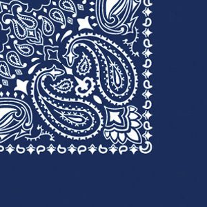 B22PAI-100002-Navy Paisley imported 100% cotton