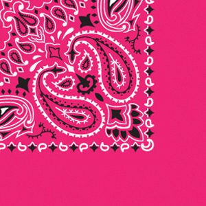 B35PAI-000039-Hot Pink Paisley