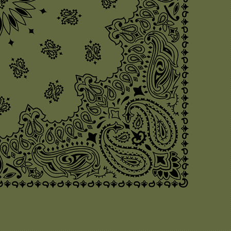 Contemporary Olive Paisley