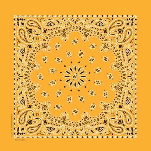 b22pai 000024 gold