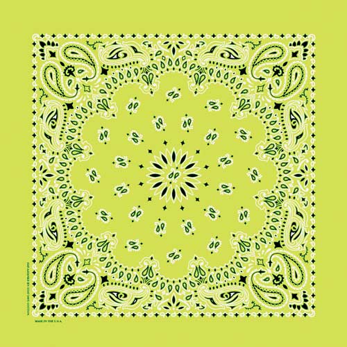 lime   b22pai 000029
