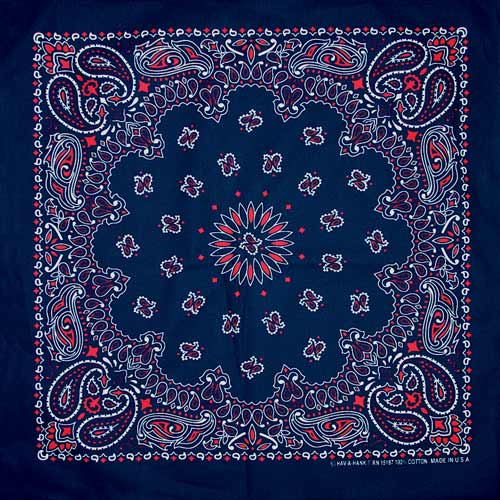 b22pai 000520 blue  red paisley